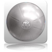 ZZ mediBall Pro 65cm - Silver - Two For One